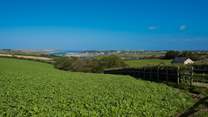 The surrounding countryside is simply lovely with views across to the Camel Estuary