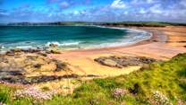 Harlyn Bay beach is an exquisitely sandy beach that's dog friendly all year around