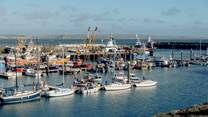 Visit the charming fishing village of Newlyn, where you’ll find freshly caught delights in the harbourside fishmongers