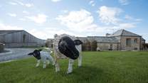 Little ones will love exploring Trevear with its fabulous farm animals!
