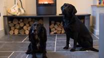 Trevear Estate is extremely dog friendly, with two able to stay in each except Trevear Hayloft which welcomes one dog