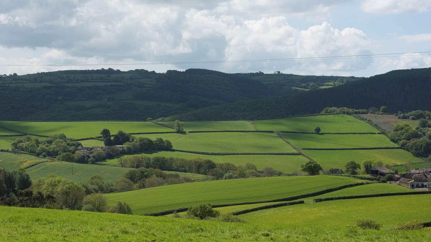 Surrounded by verdant green rolling countryside, Buddle Barn is in the most beautiful setting.