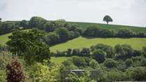 Devon has some of the most beautiful countryside the UK has to offer - and it's all yours to explore whilst at Buddle Barn.