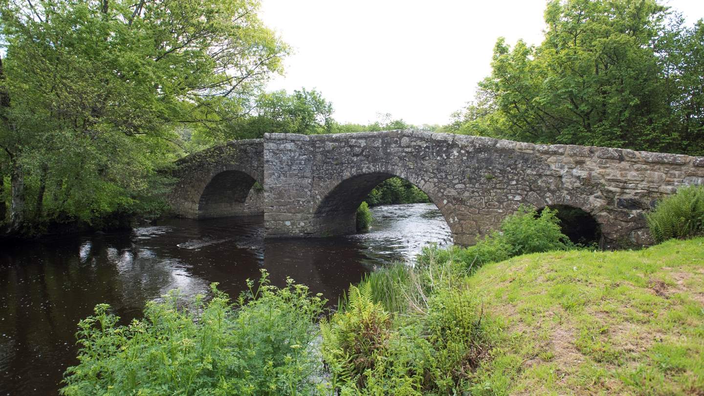 Make sure to grab a map and take to the road or footpath to explore the wonderful local hot spots.