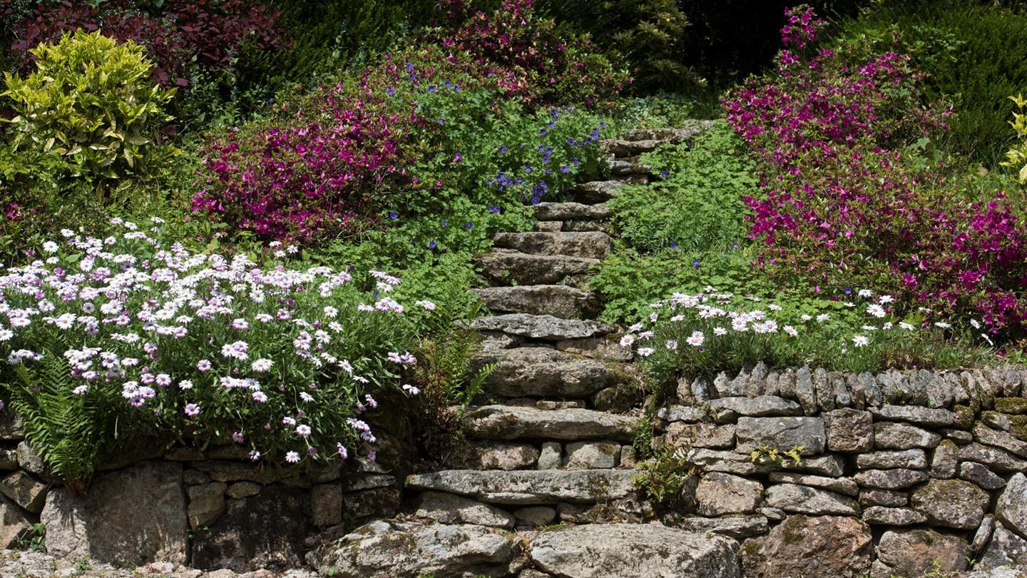 Explore the hidden pathways of the extensive flower-filled garden.