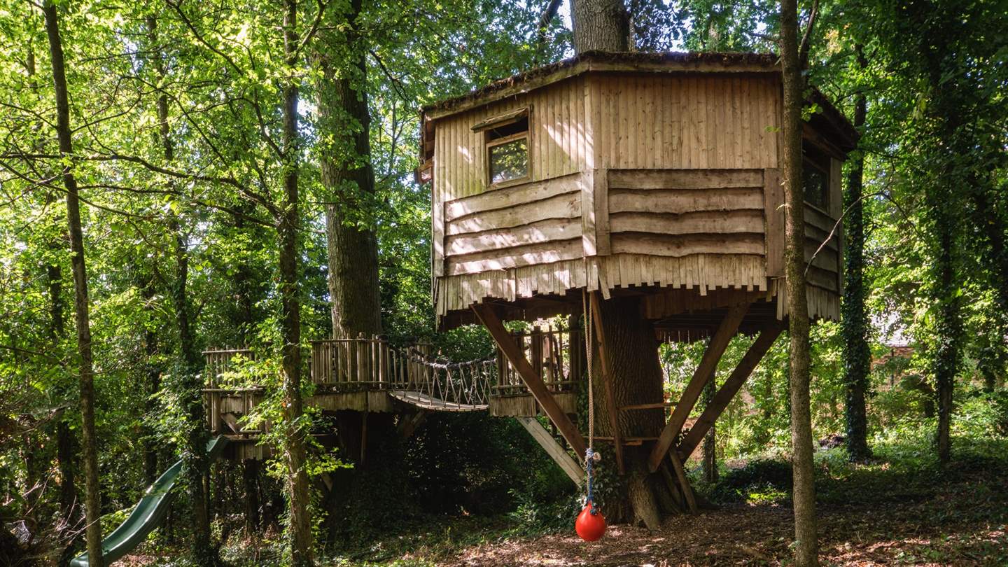 Little ones will just adore the magical tree house