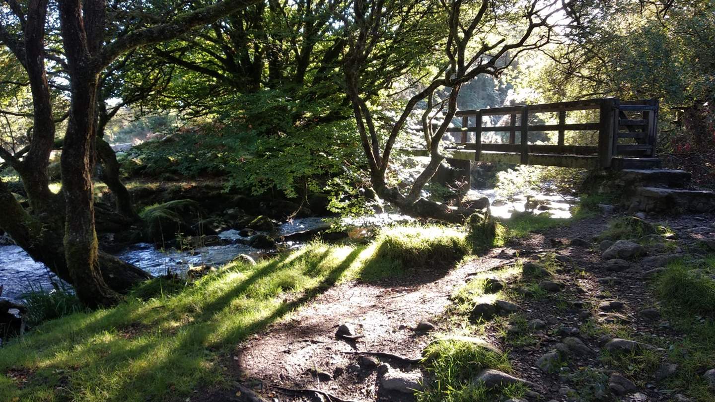 Tarka the Otter's river, The Taw, is just 200 meters from the cottage