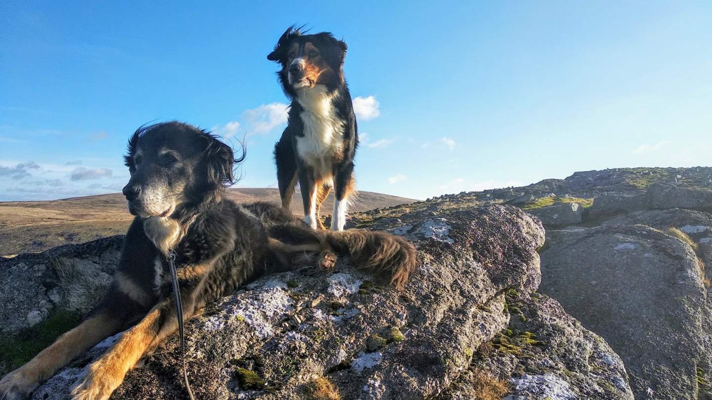 Lopes Cottage is one of our dog friendly retreats 