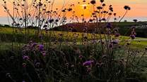 Savour slow sunsets from your Cornish retreat