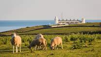 Make sure to head to Lizard Point and the lighthouse - Great Britain's most southerly point.