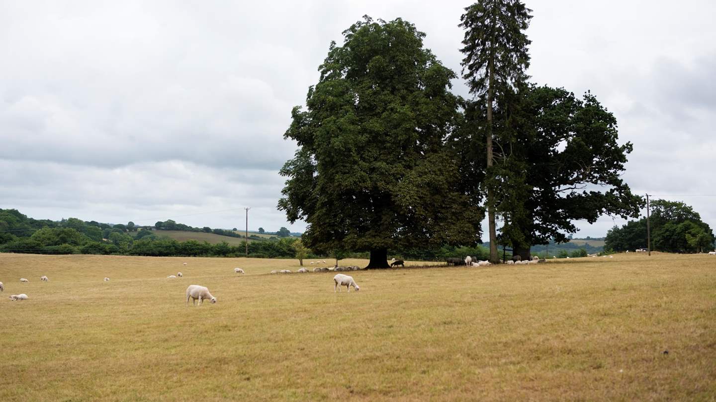 Enjoy a stay at our luxury cottages in Devon.