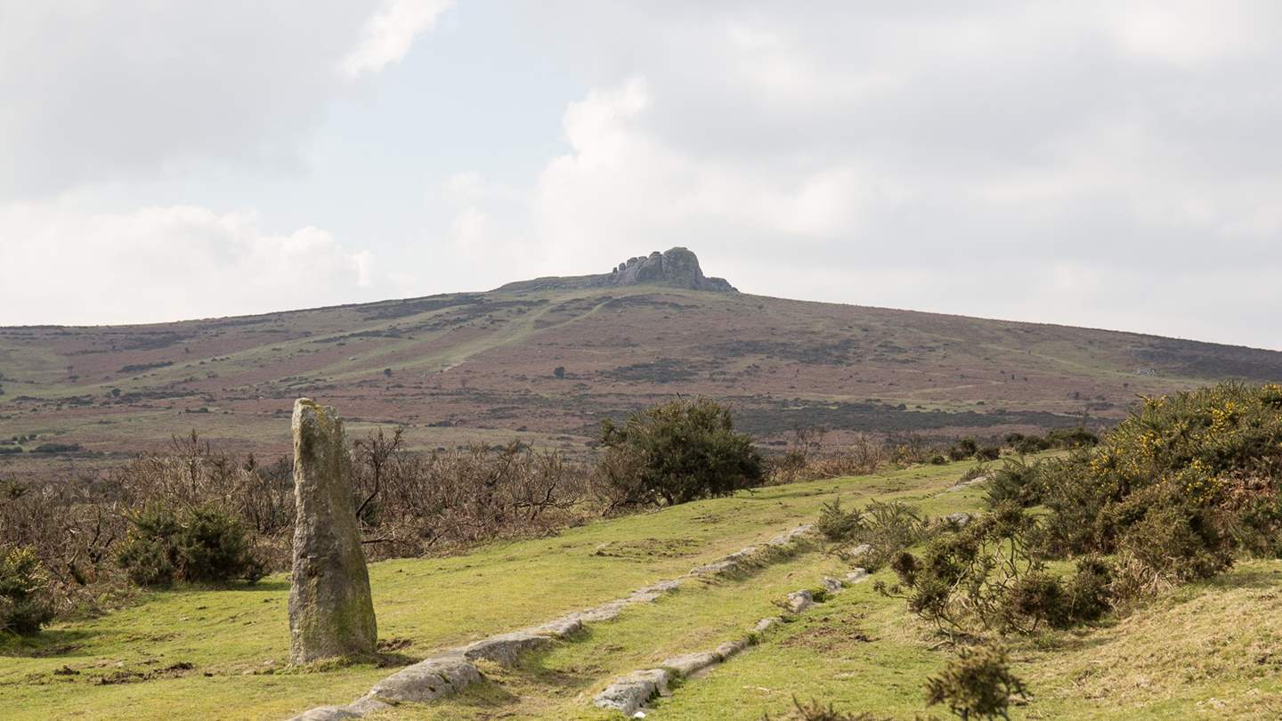 Epic Dartmoor is on your doorstep - perfect for exploring.