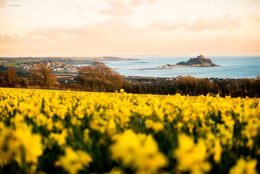 From Gwella, you can  join the South West Coastal Path from Mousehole and walk to nearby Lamorna Cove