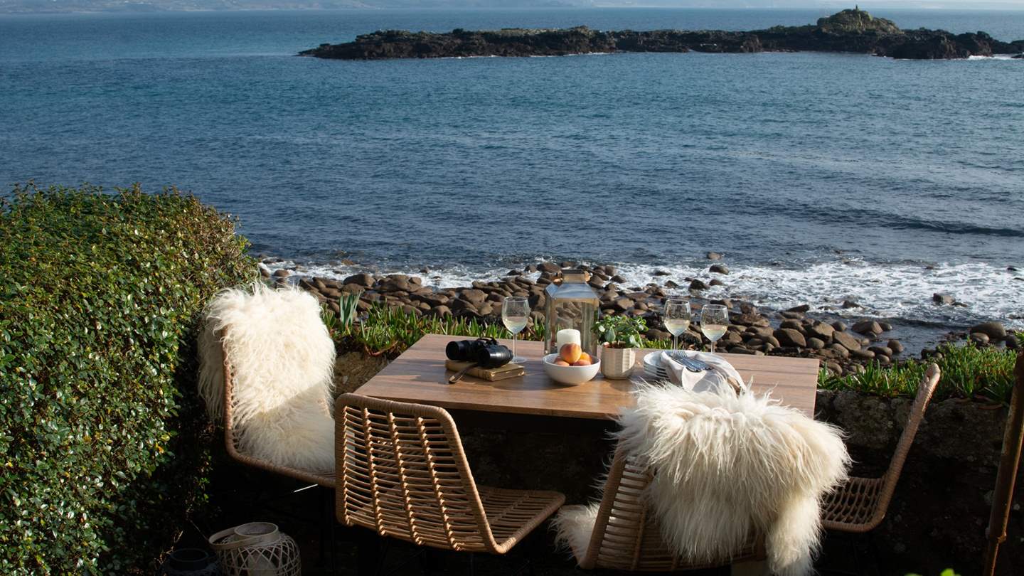 If you're lucky, you might spot the resident pod of dolphins or seals on St. Clements Island...