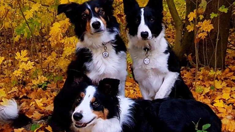 With forest walks right on your doorstep, this is a great destination for getting back to nature.