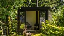 The garden room, tucked away amongst the greenery under the canopy of a huge beech tree