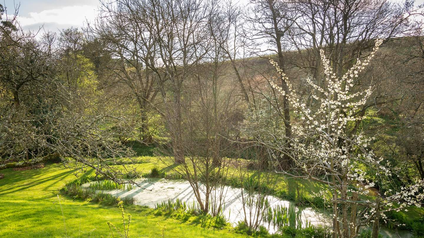 Take an afternoon stroll around the ponds that dot the land...