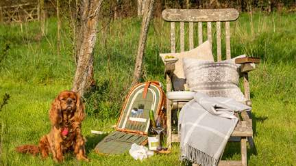 The Gallery is one of our dog friendly cottages and welcomes up to three furry friends