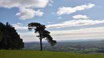 Enjoy beautiful views from the Raddon Hills in all seasons 