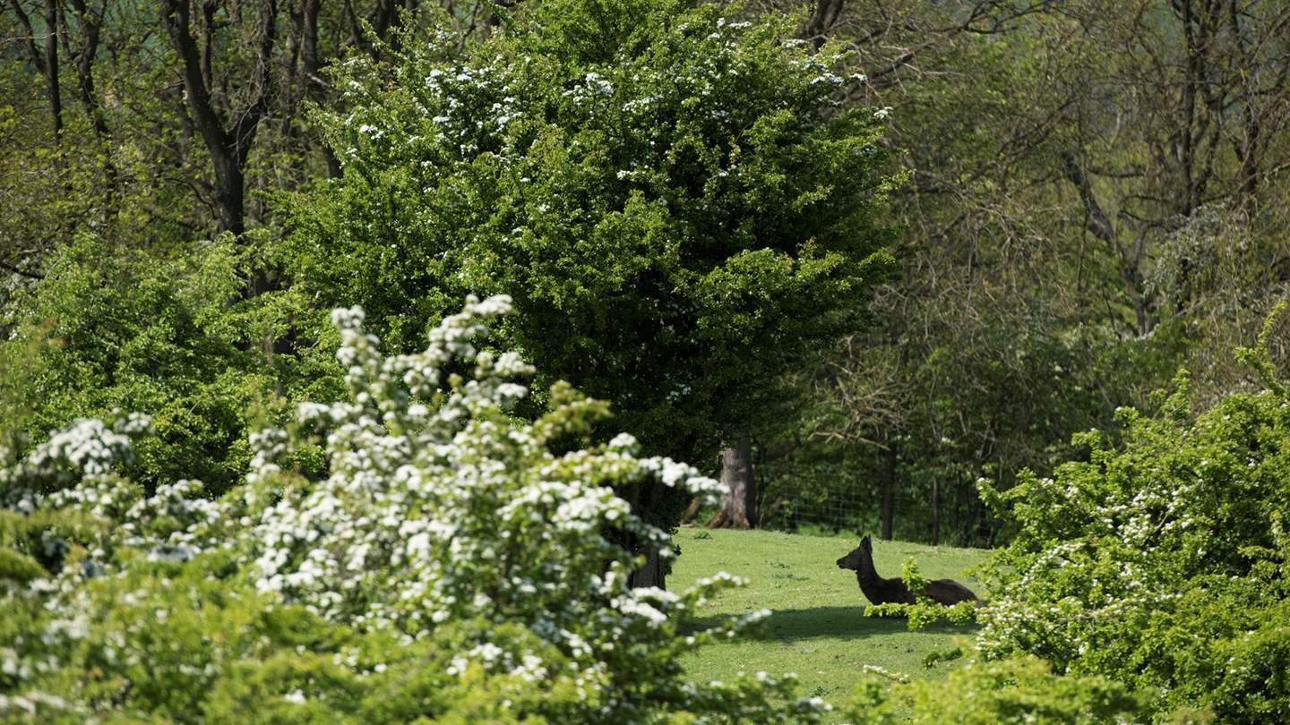 Head out into the countryside and you'll discover plenty of idyllic, peaceful corners