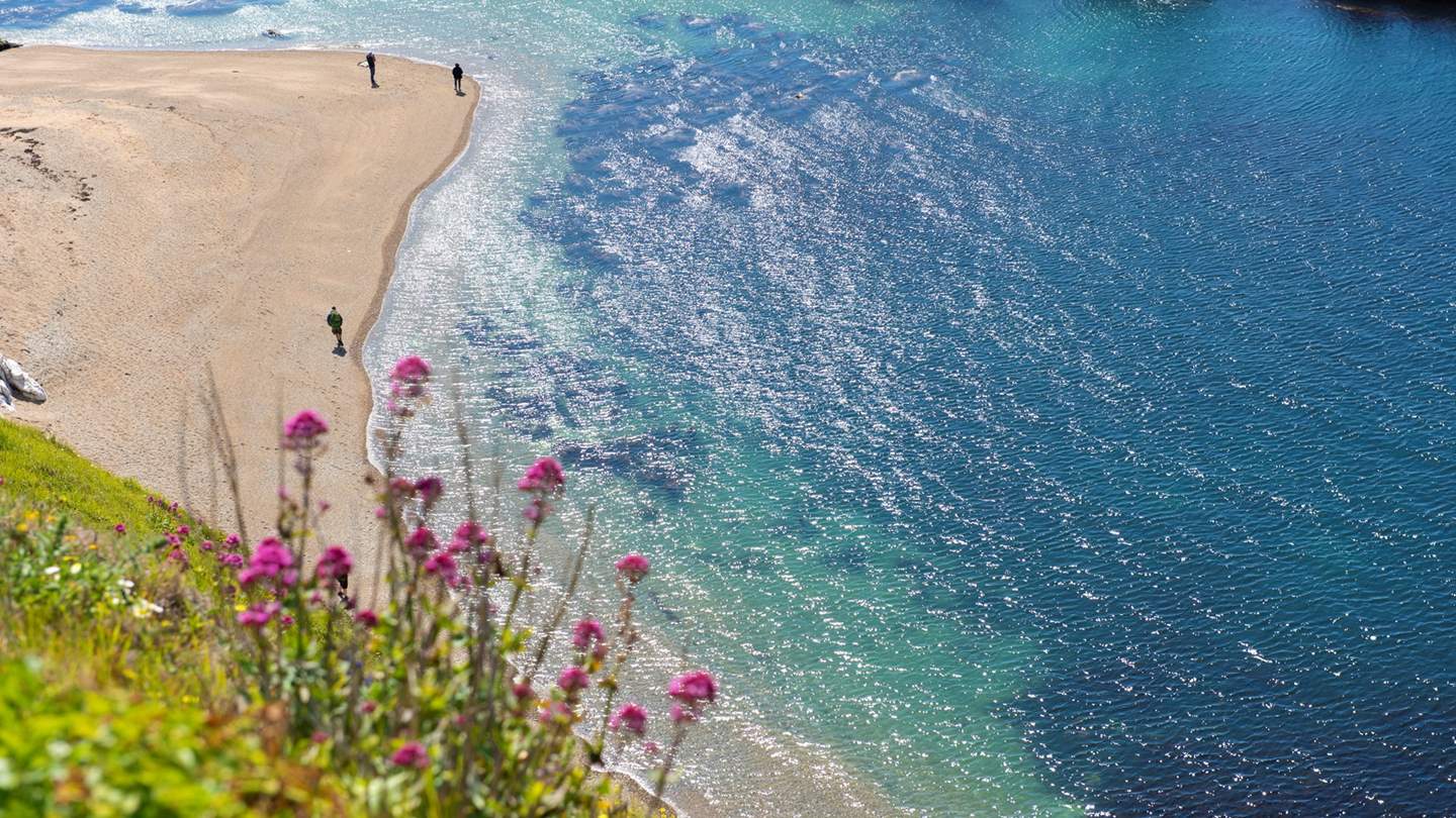 Find peace and quiet along the unspoiled Dorset coastline