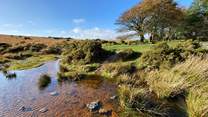 The wild beauty of Dartmoor is captivating
