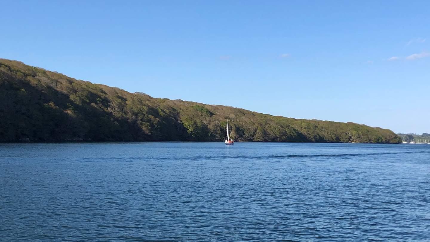 The creeks are easily accessible from the house and are wonderful for sailing