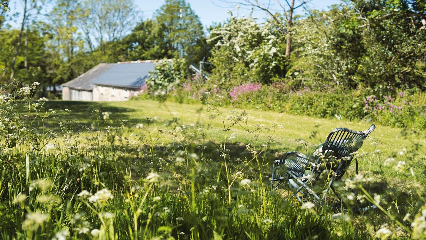 Pretty wild flowers adorn the garden throughout the year