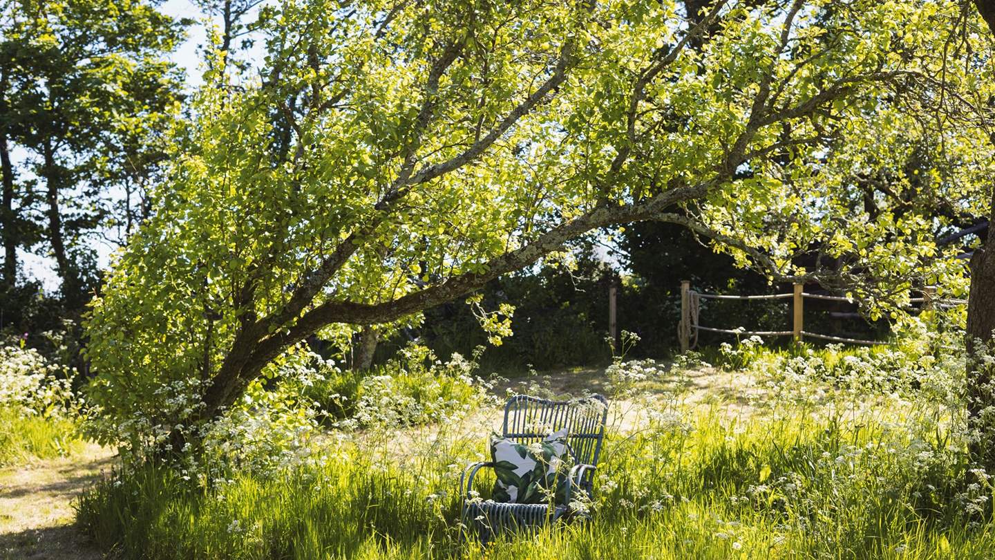 This shady spot is calling us....what bliss!