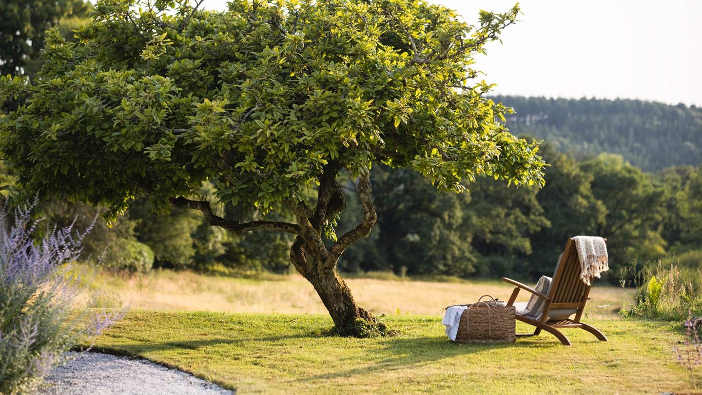 Settle down for a picnic on the verdant lawns... 