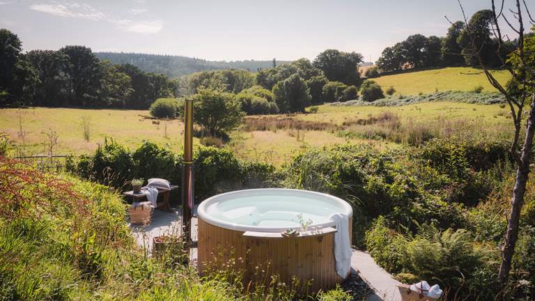 Mulberry Barton - Sleeps 8 + cot - Tavistock