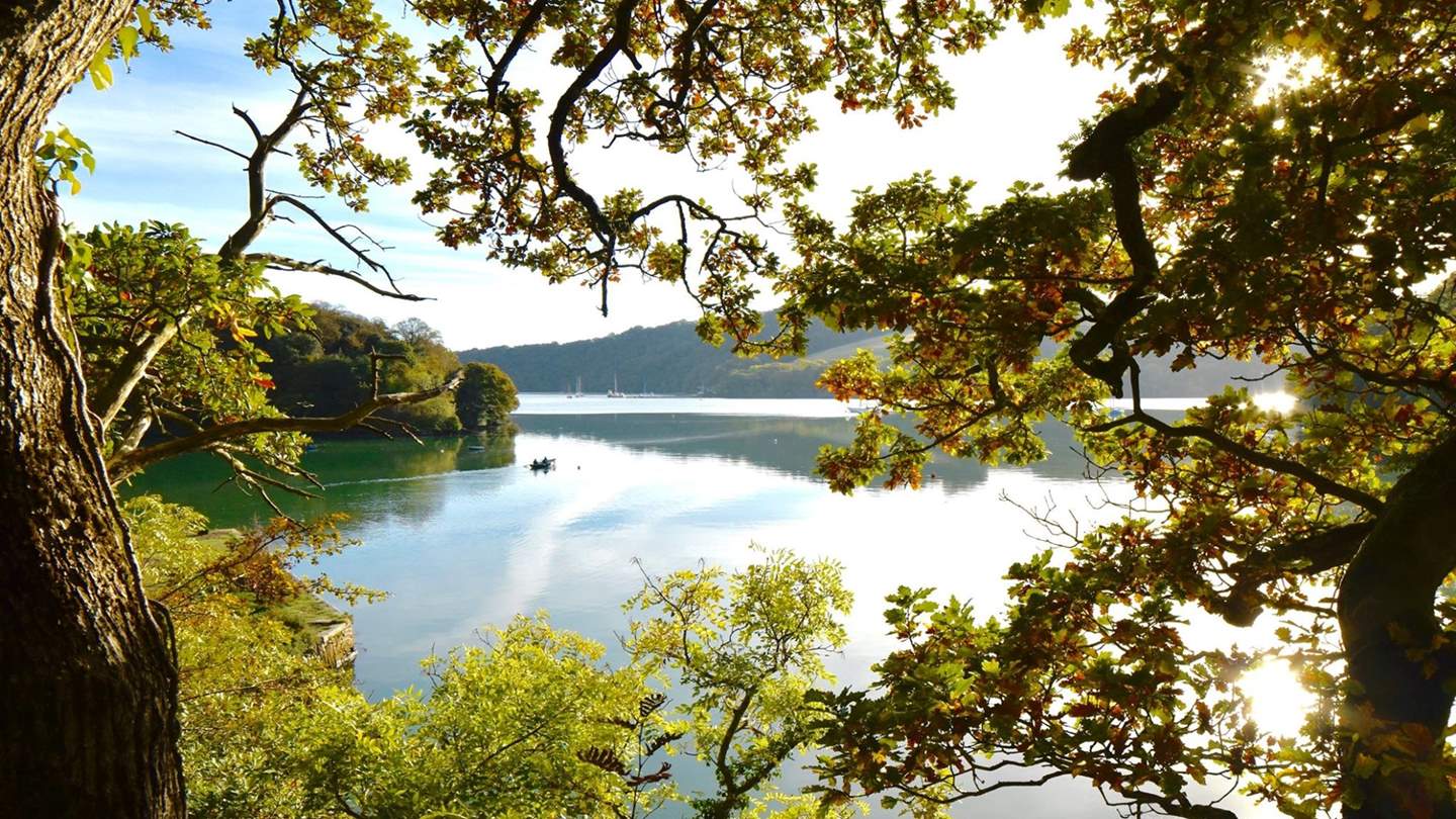 Pretty Trellisick is well worth a visit