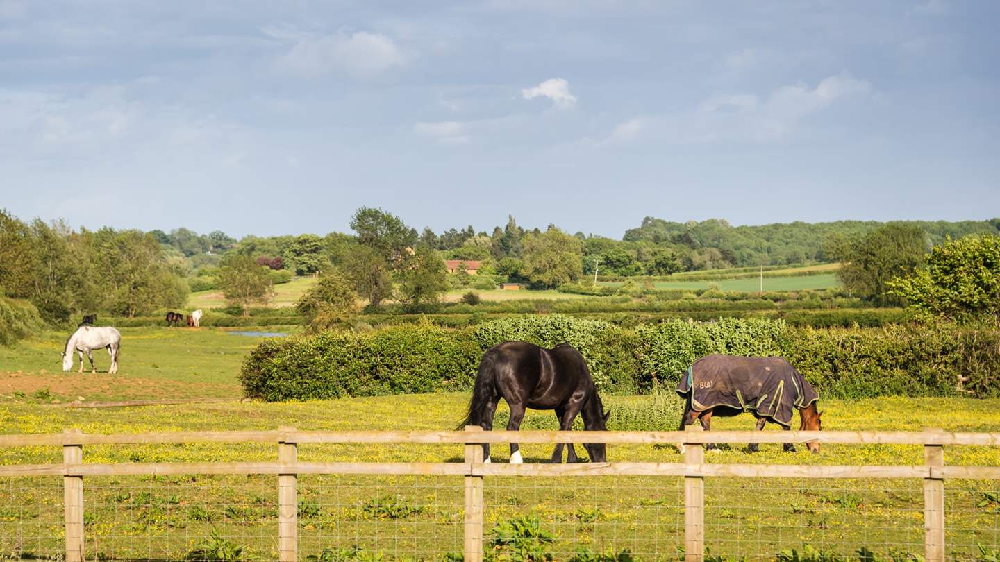 The surrounding countryside is just idyllic