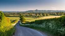The gorgeous Somerset countryside, with distant views of Glastonbury Tor