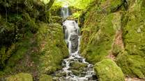 Beautiful Canonteign Falls, just a short distance away