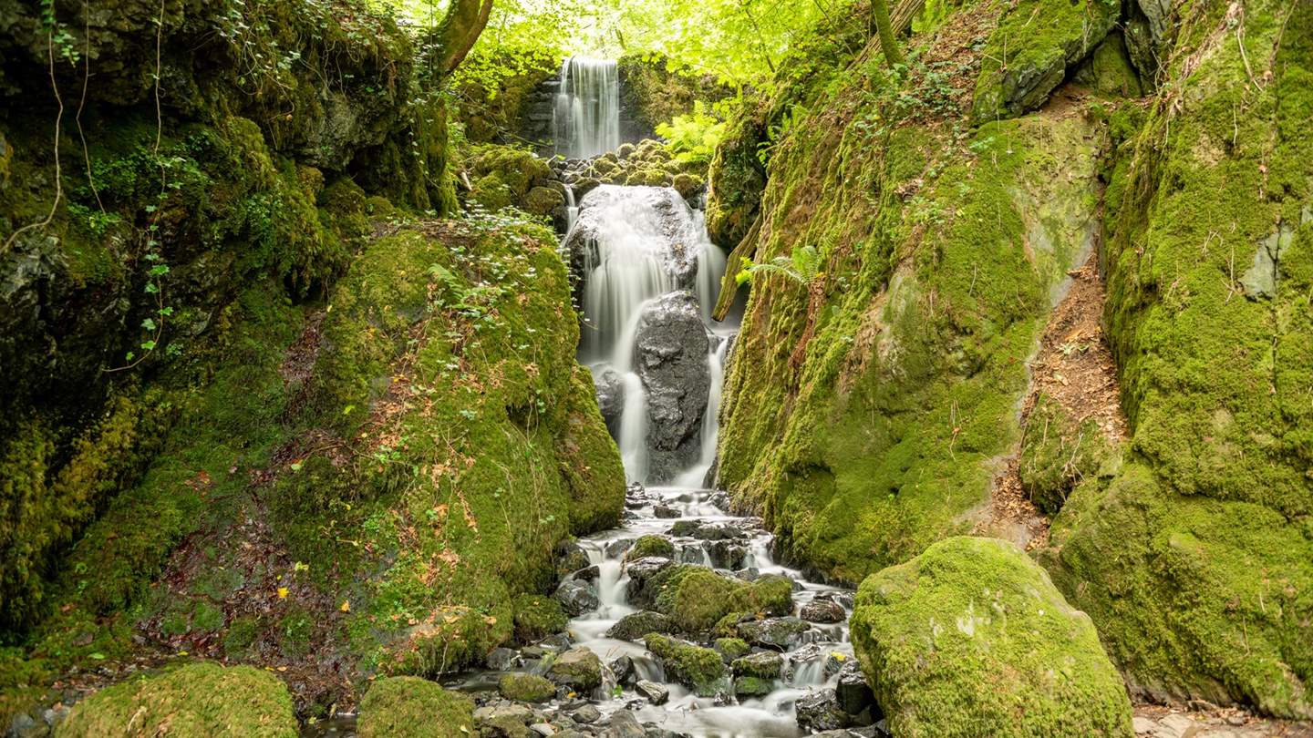Beautiful Canonteign Falls, just a short distance away
