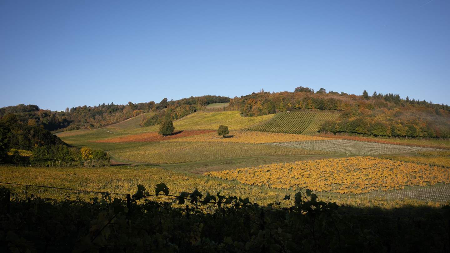 The countryside around The Coach House is simply spectacular