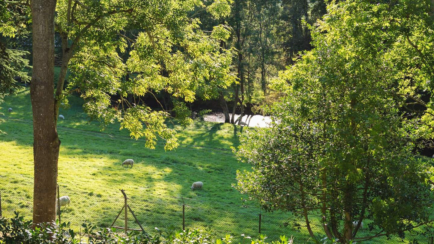 There are stunning views of cedar, oak and larch woodland, lawns and the original 16th century trout ponds