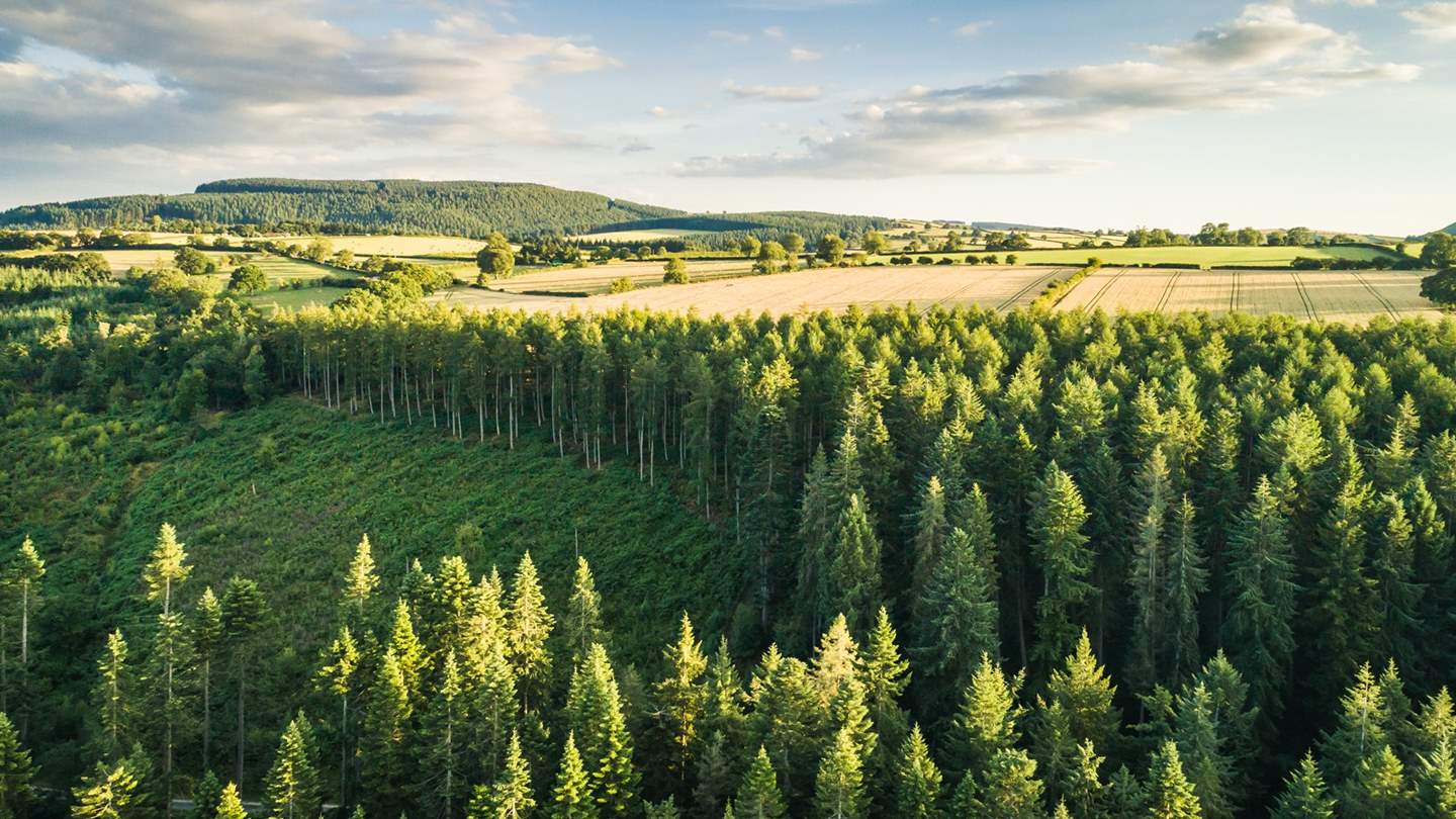 Shropshire is one of England's greenest counties, filled with undulating fields, hills and woodland