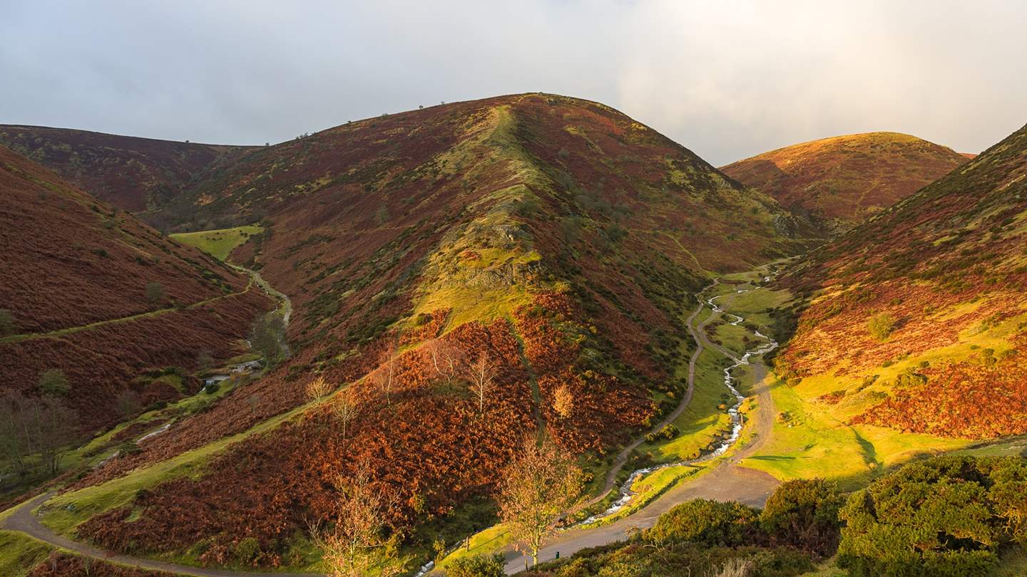 The Long Mynd is an astonishing beauty spot and one to explore when staying at Woodlanders