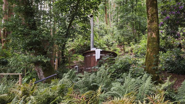 Woodlanders - Sleeps 2 - South Shropshire Hills