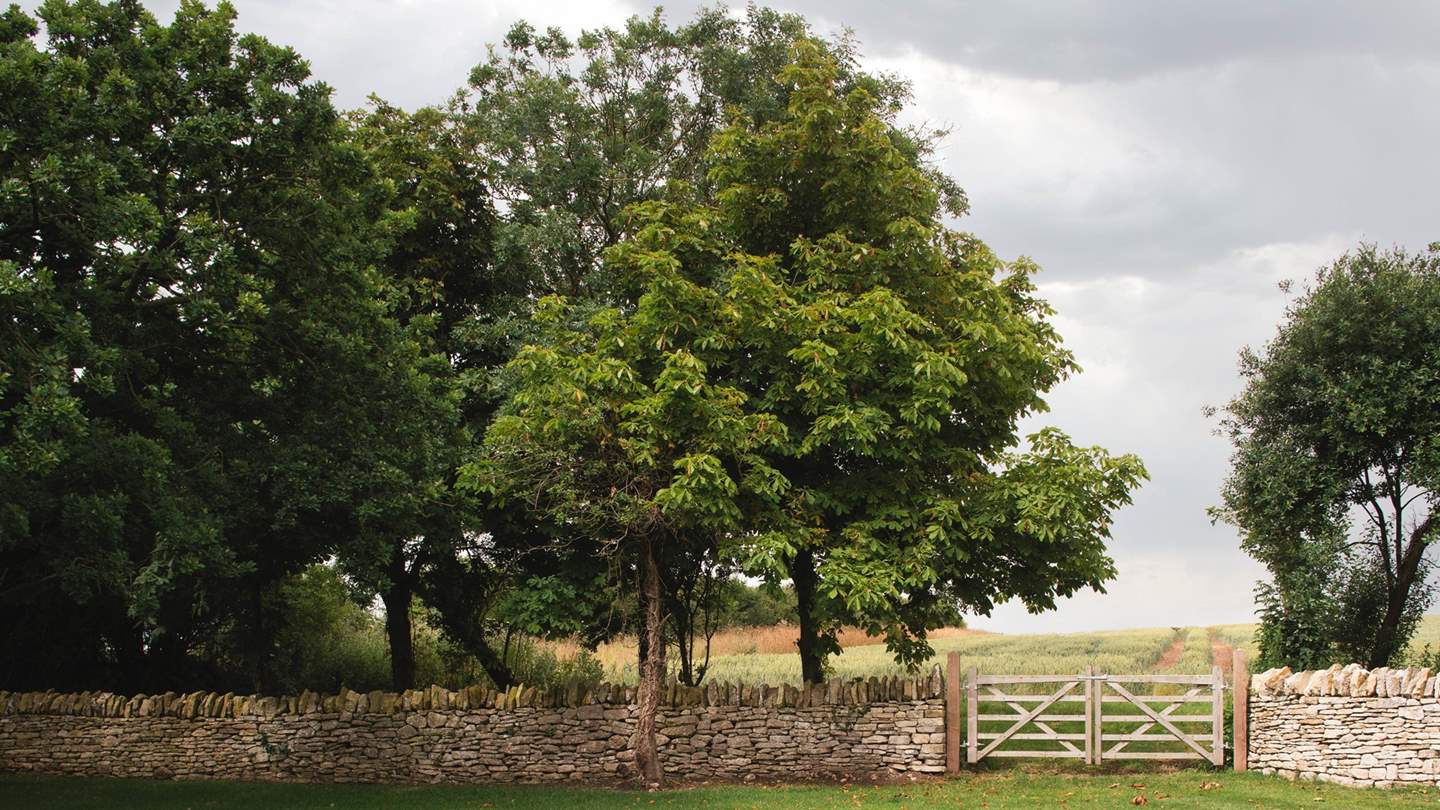 Spend blissful days exploring the rolling hills surrounding Chalklands... 