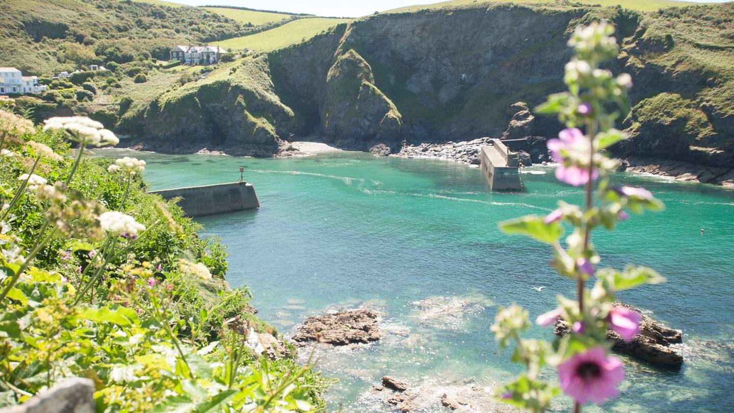 The walks around Port Isaac are just stunning - just follow the South West Coastal Path...