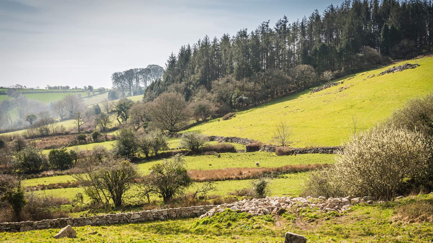 Rolling hills and fields await at Bucklebury