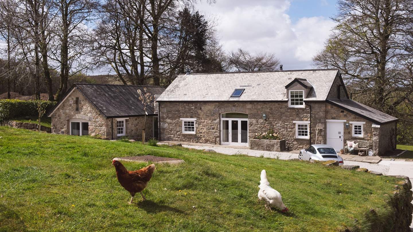 You might have a visitor or two during your stay!