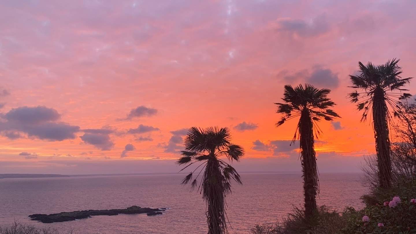 Candyfloss scenes await at First Light...