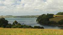 The gardens at Trelissick are simply beautiful with incredible views
