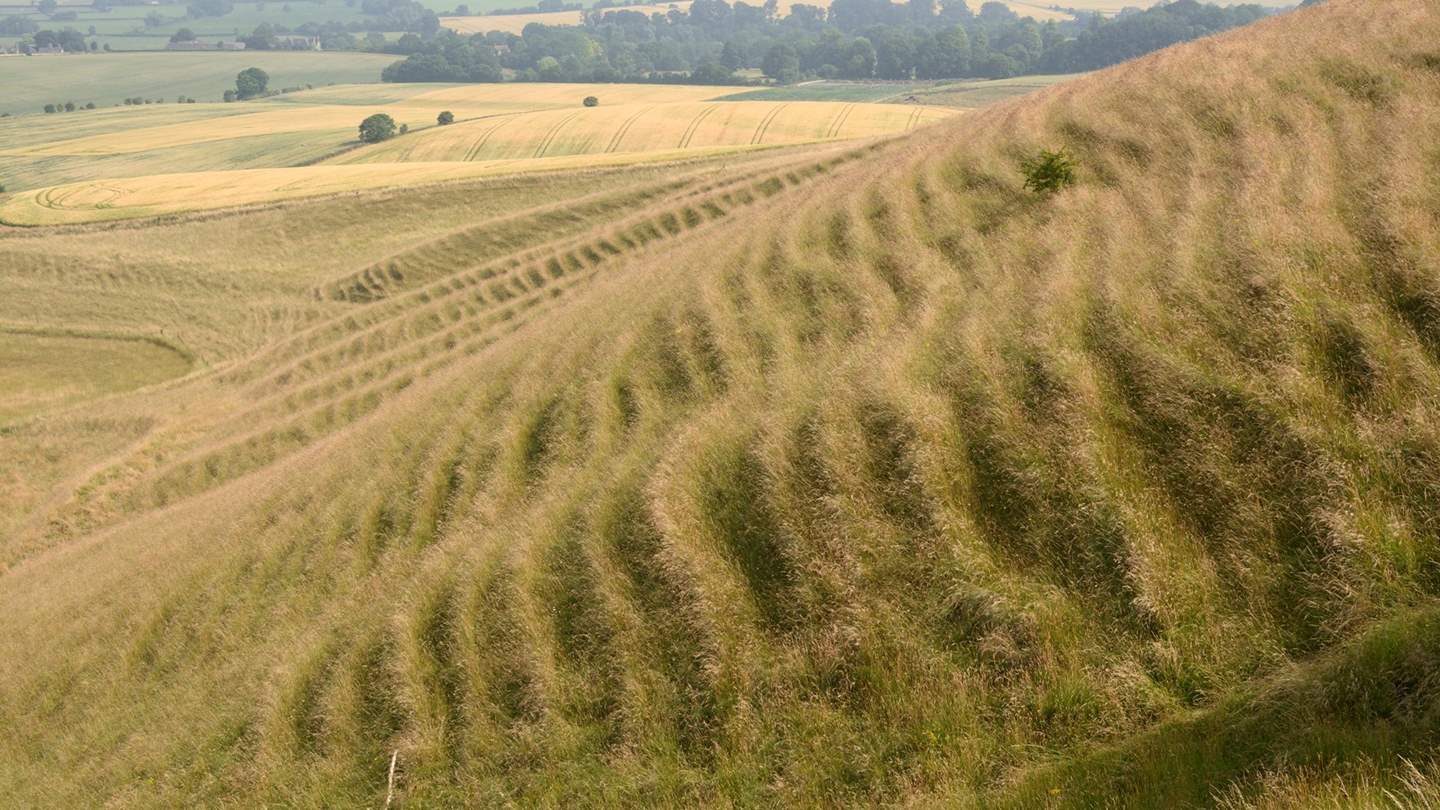 Orchard Lodge is perfectly positioned to explore the gorgeous, expansive countryside of this amazing area