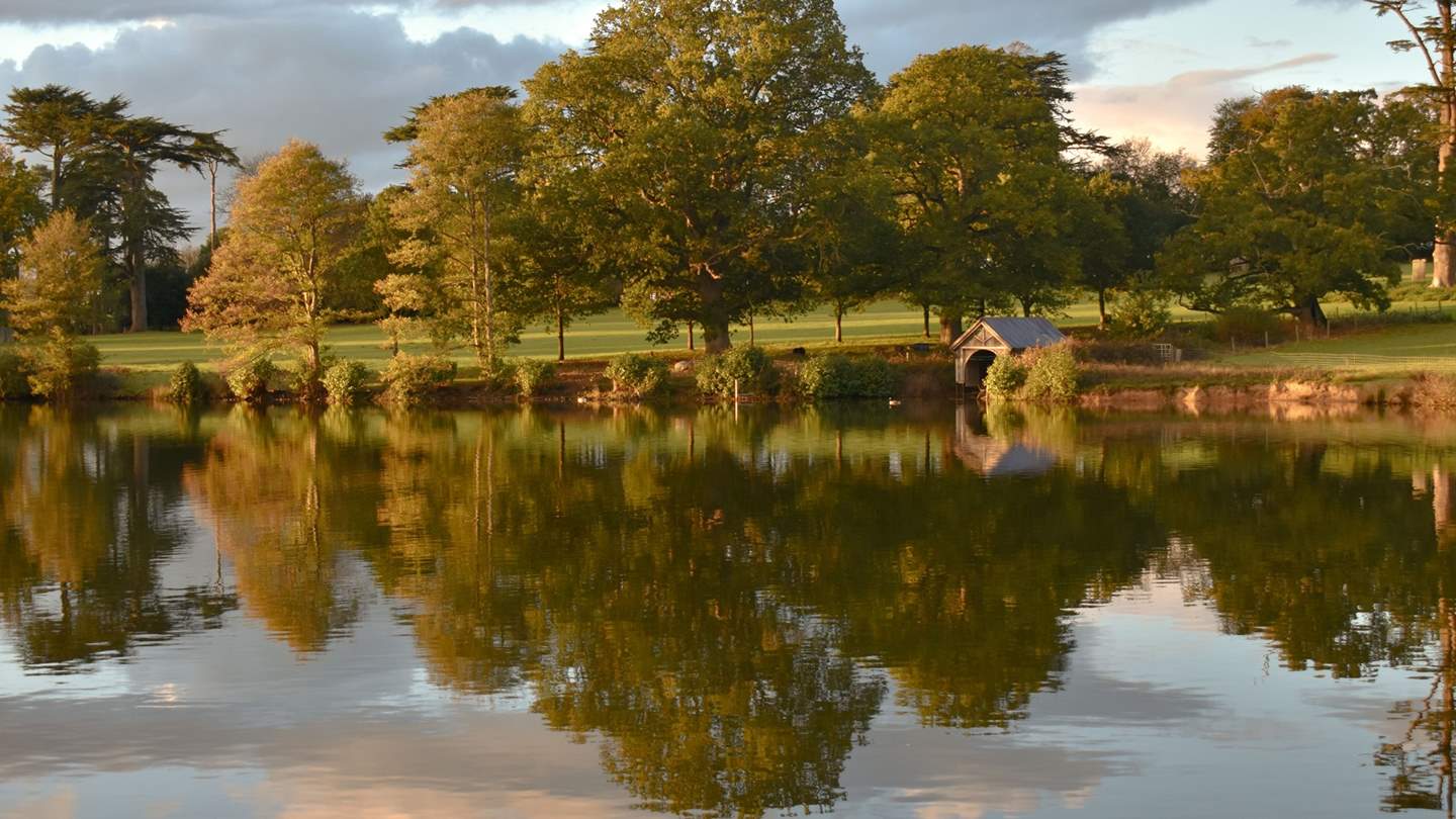 Venture to nearby Shobrooke Park and wander the pretty gardens 