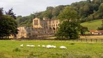 Rievaulx Abbey is one of the many historic sites to visit in the area